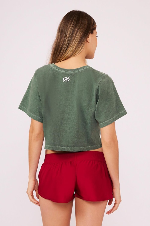 Cropped Laranjeiras Flu