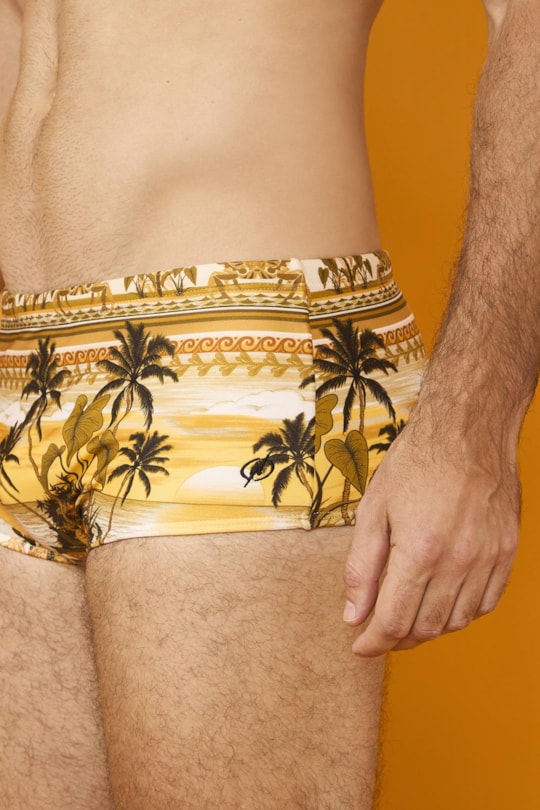 Imagem do produto Sunga Army Barrado Solar